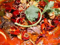 -辛香汇·现炒川菜(淮海路百盛店)