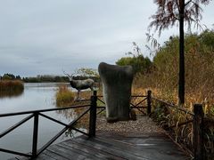 -溱湖国家湿地公园