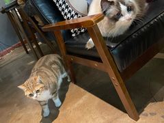 -咖法森林·咖啡  酒吧(天河店)