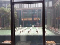 -上海崇明金茂凯悦酒店