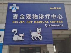 -睿金宠物医院·CT·肿瘤·骨外科