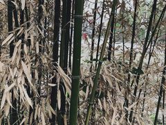 -第五季龙水凤港生态露营农场