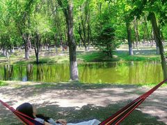 -长白岛森林公园