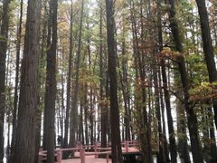 -东湖落雁景区
