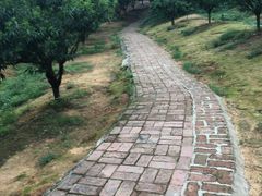 -南国桃园旅游度假区