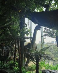 -恐龙探索乐园(磁器口店)