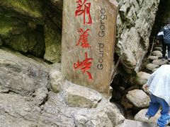 -牛背梁国家森林公园