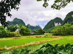 -靖西鹅泉风景区