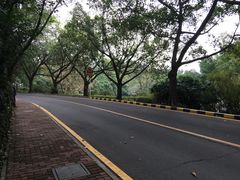 -南国桃园旅游度假区