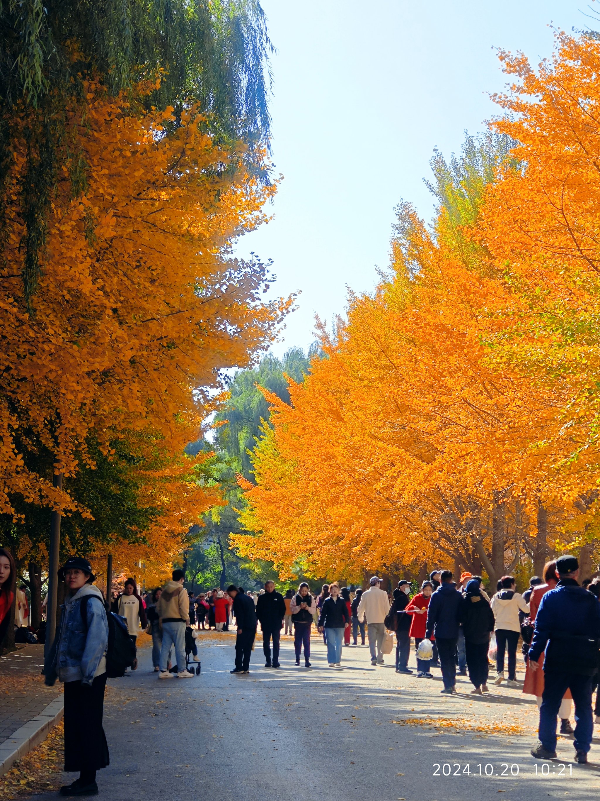 沈阳农业大学位置地图图片