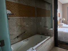 -西安赛瑞喜来登大酒店