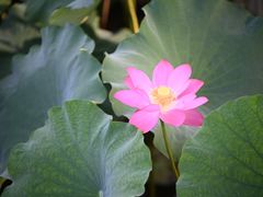 -北山街历史文化街区