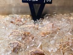 -Oyster Talks 四度蚝法餐厅