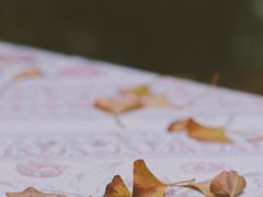 -南京市无想山景区