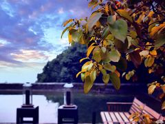 -柏联酒店