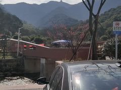 -北仑森林植物园