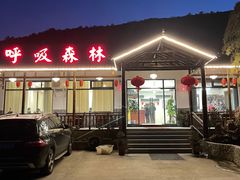 -呼吸森林·生态农庄农家乐私房菜