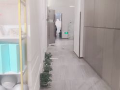 点击看大图 -圣提生活馆