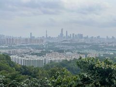-火炉山森林公园