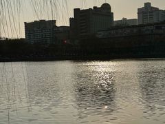 -文瀛公园