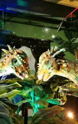 -恐龙探索乐园(磁器口店)