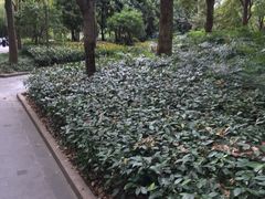 -徐家汇源景区-衡山坊