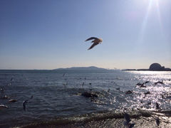 iphone_upload_pic-栈桥景区