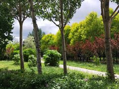 -长春公园(普阳街道)