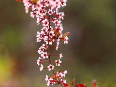 -大平台龙居瀑布旅游区
