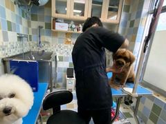 -全心全意连锁动物医院·特色中医诊疗(会城门分院)