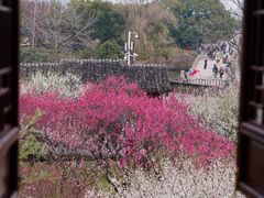-苏州上方山国家森林公园
