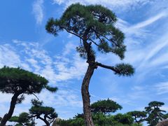 -罗红摄影艺术馆