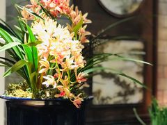 -陶然轩(沙面店)