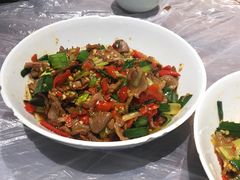 -壹盏灯(惠农店)