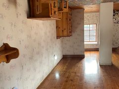 -金山农民画村-枫泾波兰倒置屋