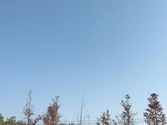 -嘉北郊野公园
