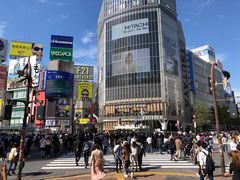 -涩谷区