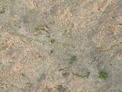 -青岛第一海水浴场