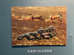 -闵行博物馆