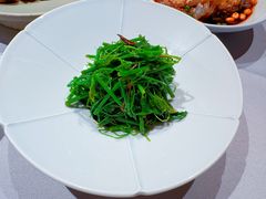 -马旺子·川小馆