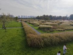 -汉长安城未央宫国家考古遗址公园