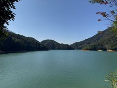 -广州市流溪河国家森林公园