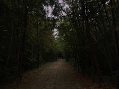 -江南天池