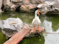 -龙华寺