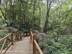 -大岭沟猕猴桃谷风景区