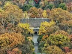 -灵谷景区