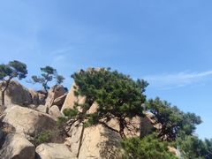 -崂山仰口游览区