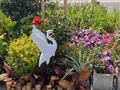 -福田红树林生态公园