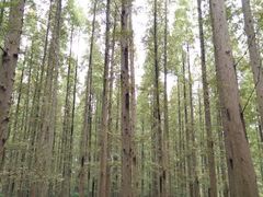 android_upload_pic-上海怡沁园度假酒店