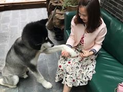 -浔岚云舍mist静谧观景美宿(丽江古城店)